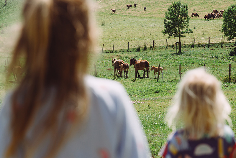 OPEN BARN MARCH 14, 2026 FROM 1:00 TO 3:00PM
